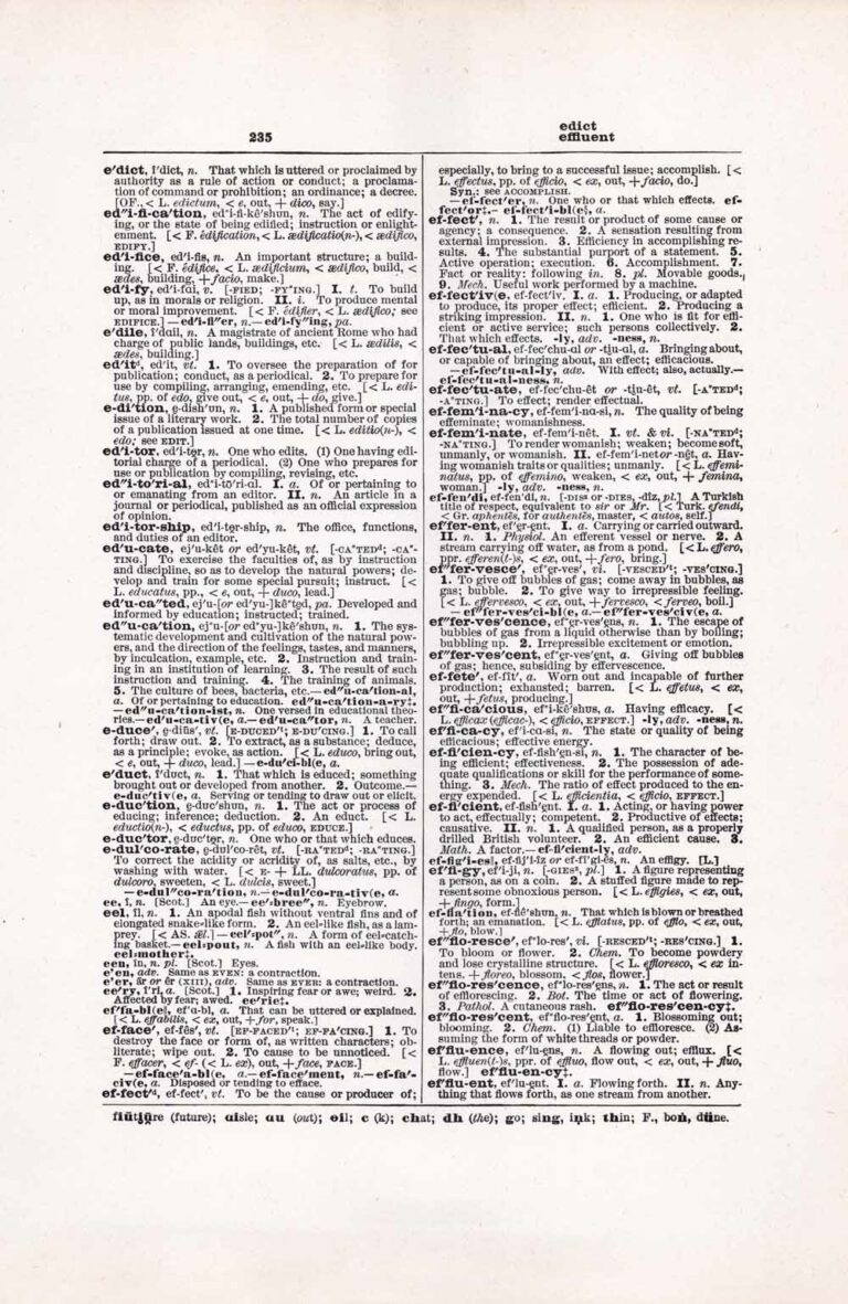 Vintage Dictionary Web 235