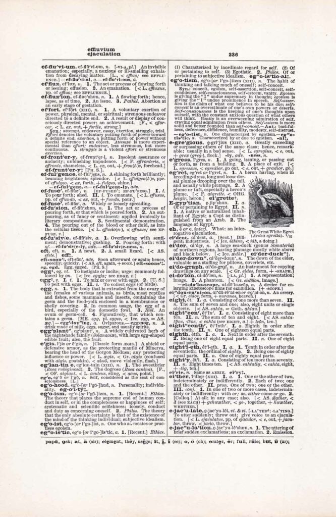Vintage Dictionary Web 236
