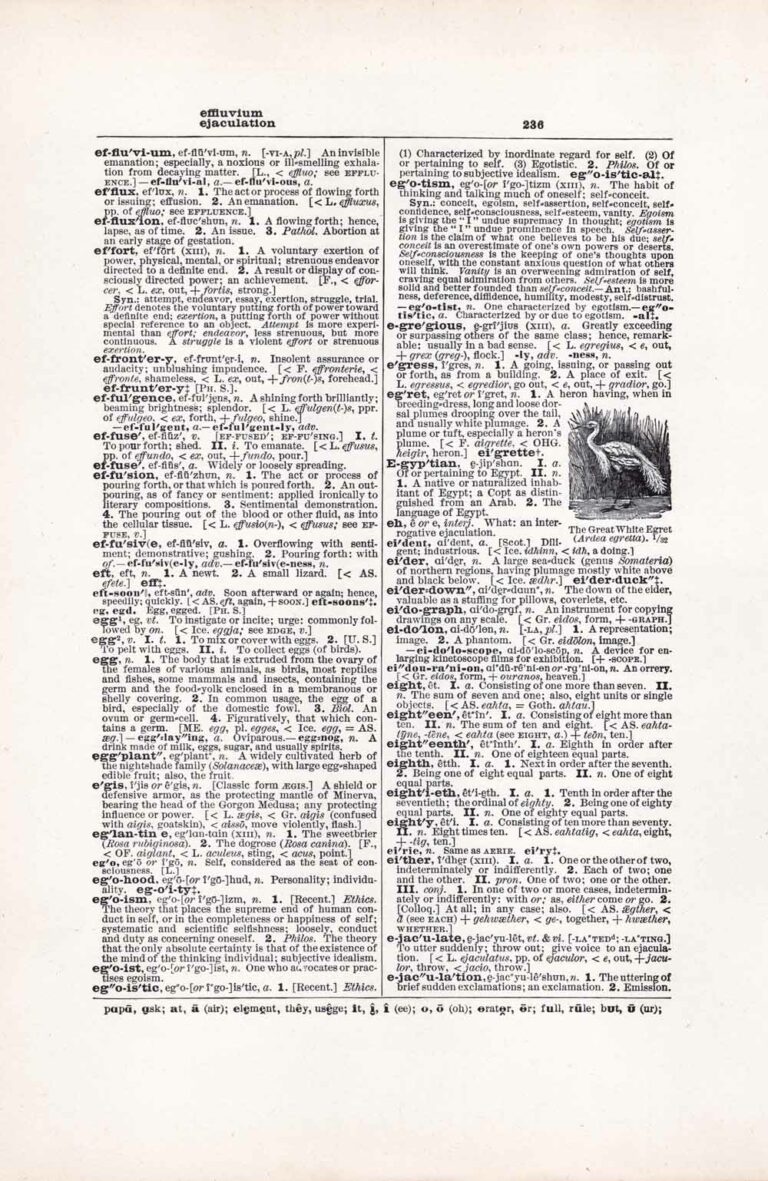 Vintage Dictionary Web 236