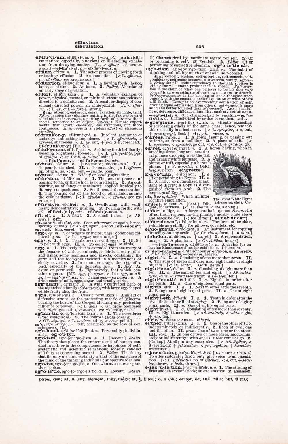 Vintage Dictionary Web 236