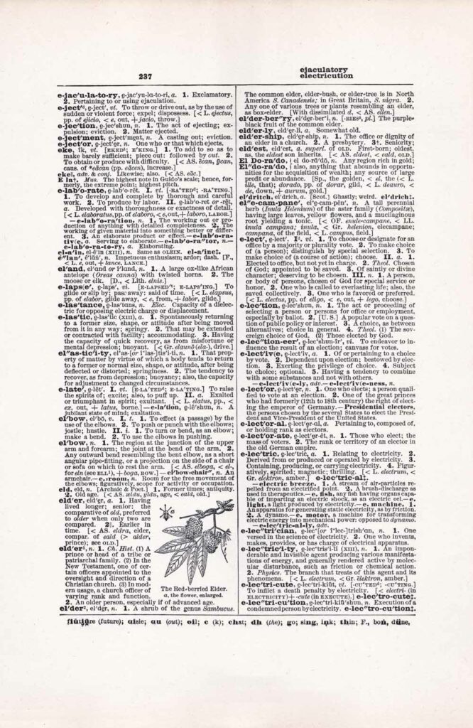 Vintage Dictionary Web 237