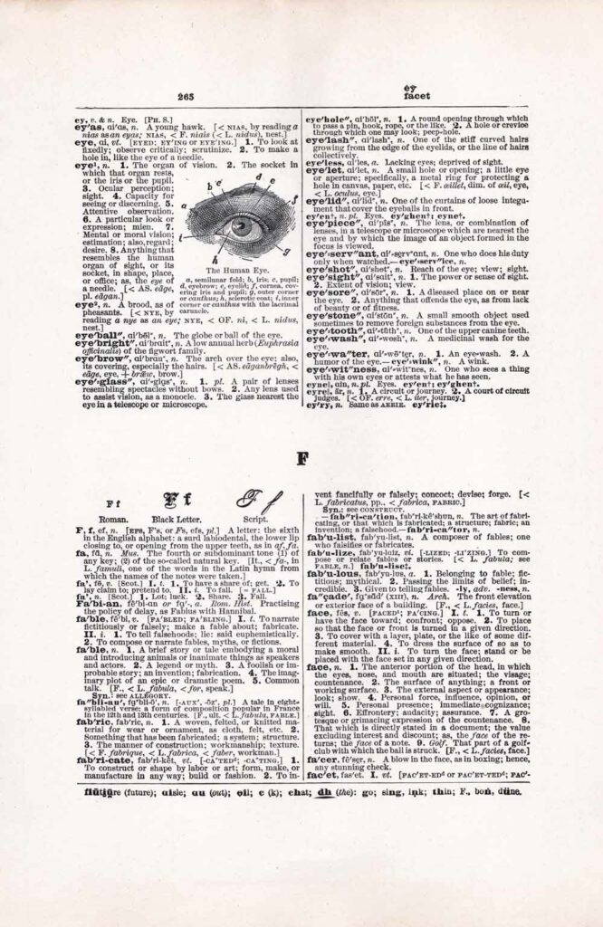 Vintage Dictionary Web 265