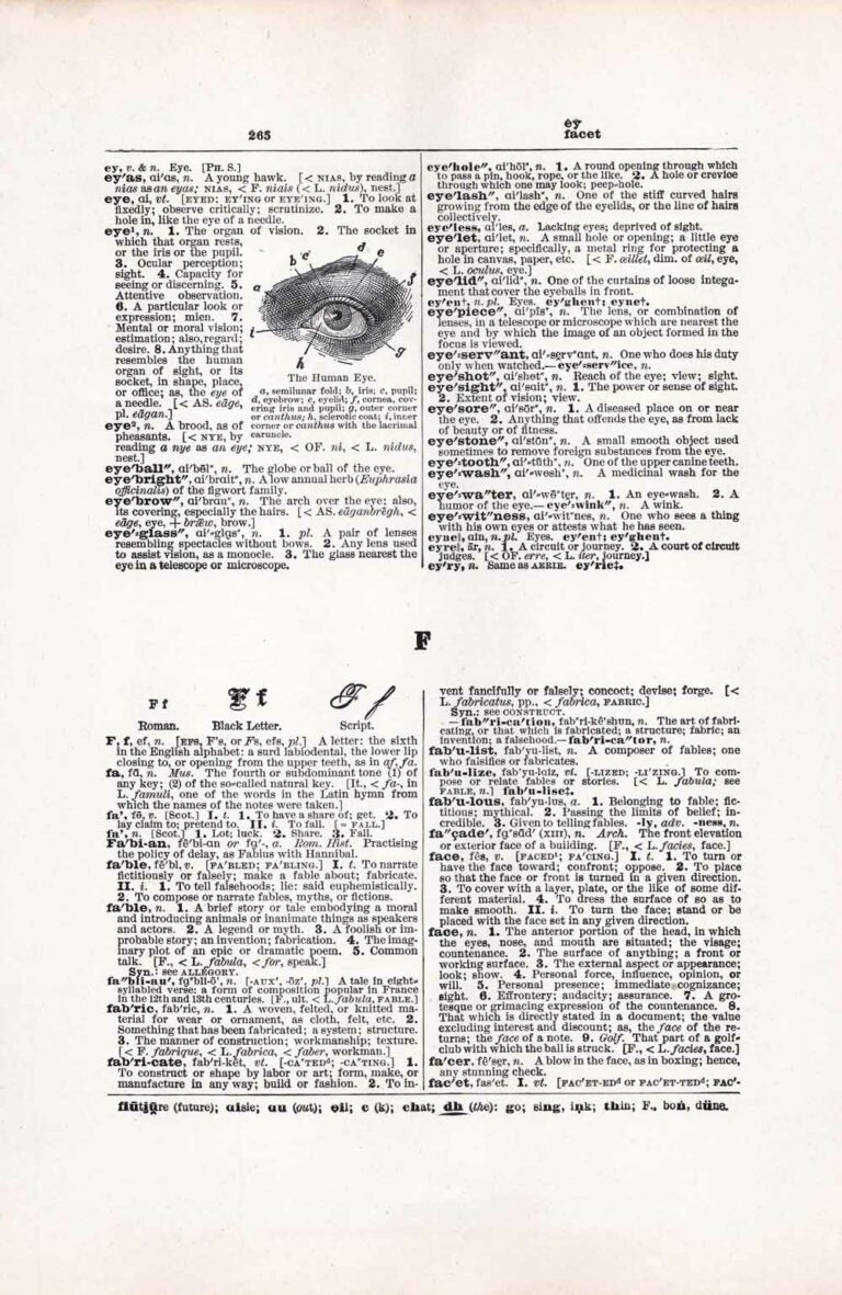 Vintage Dictionary Web 265