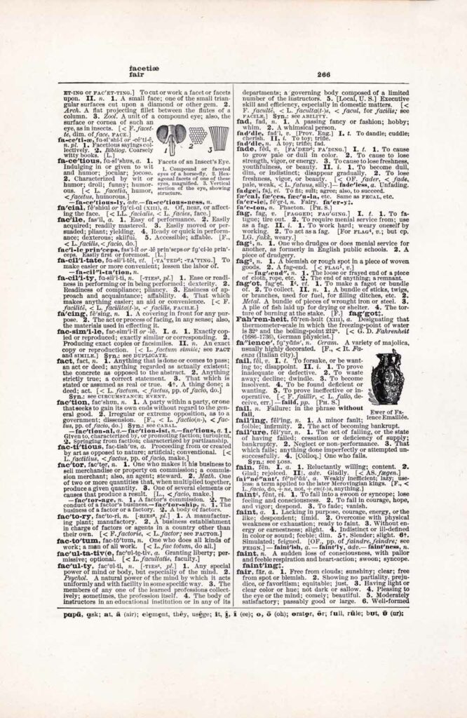 Vintage Dictionary Web 266