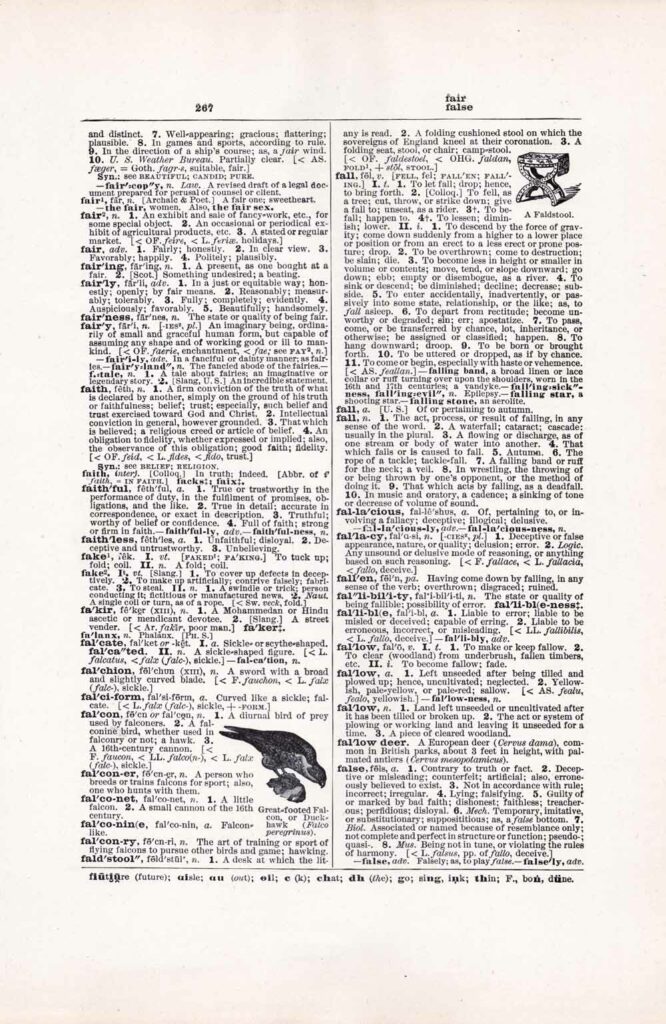 Vintage Dictionary Web 267