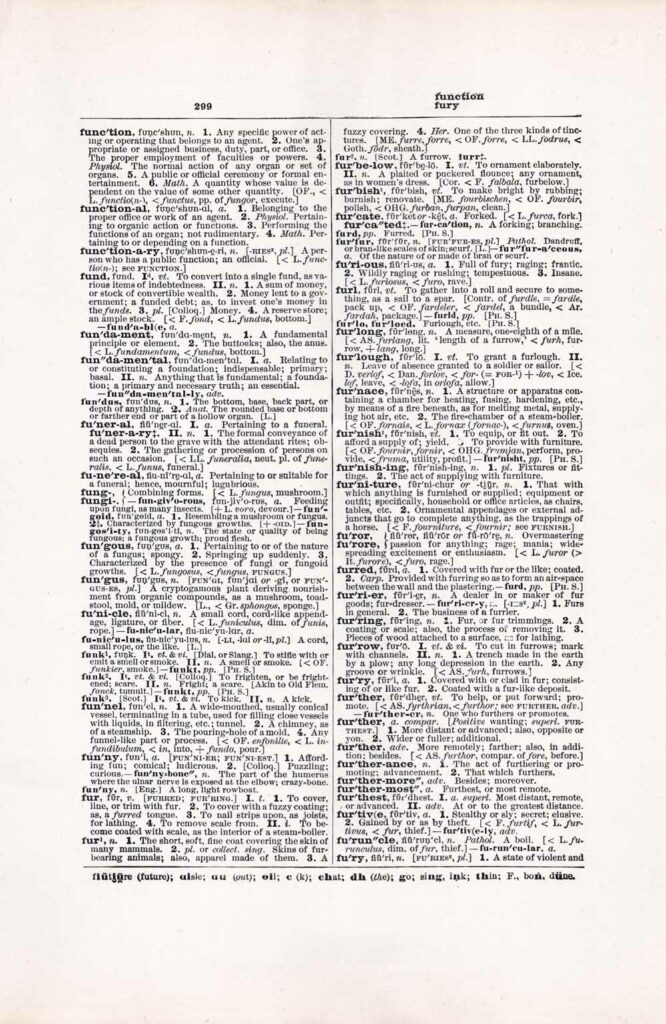 Vintage Dictionary Web 299