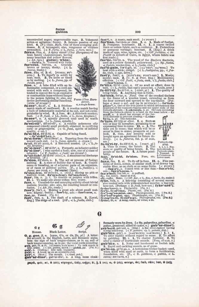 Vintage Dictionary Web 300