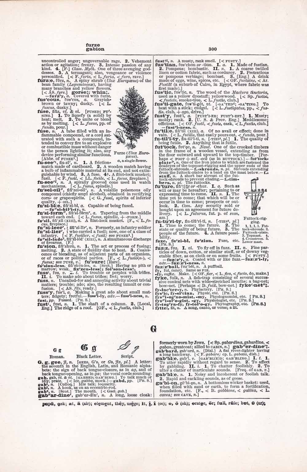 Vintage Dictionary Web 300