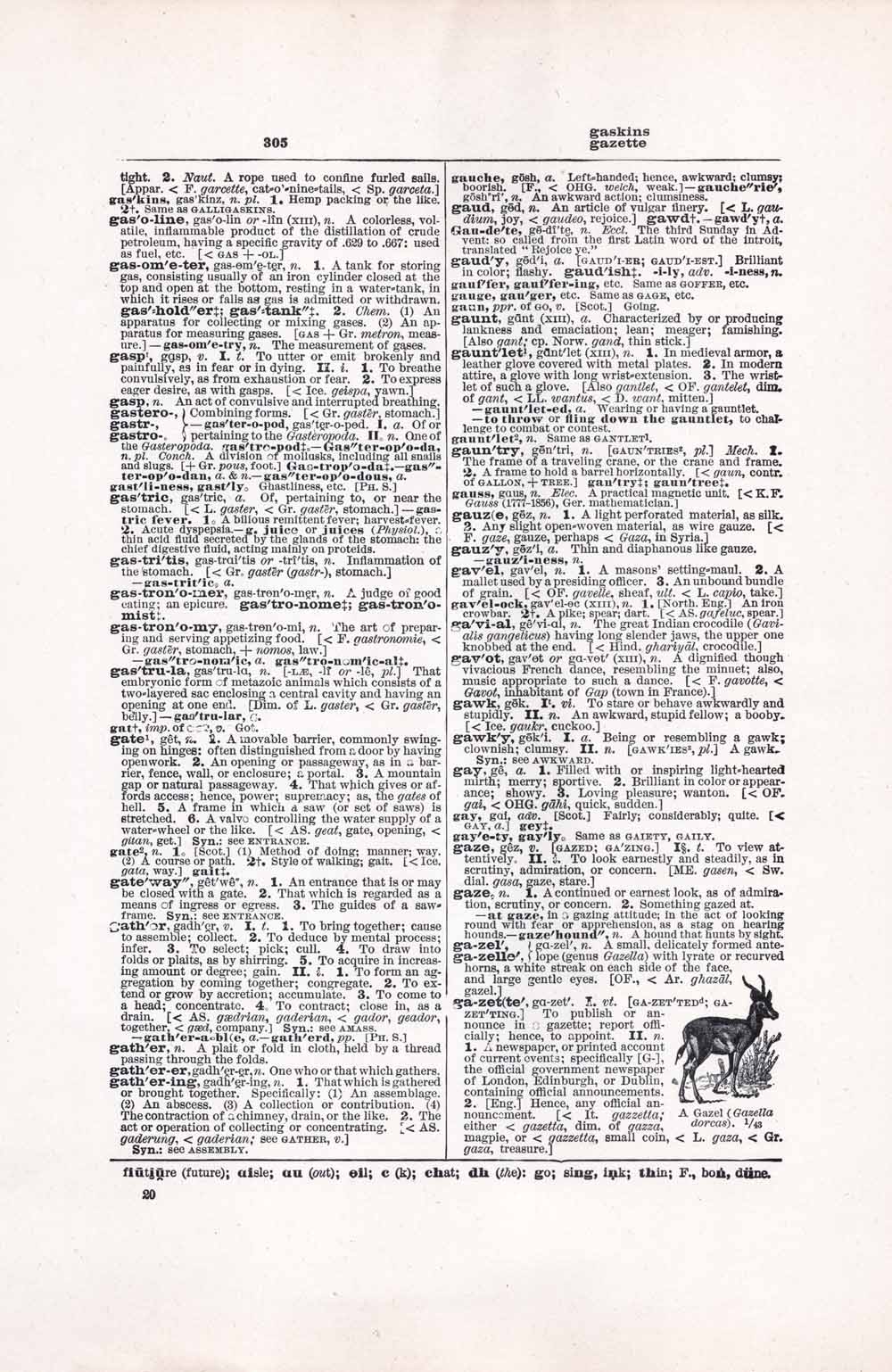 Vintage Dictionary Web 305