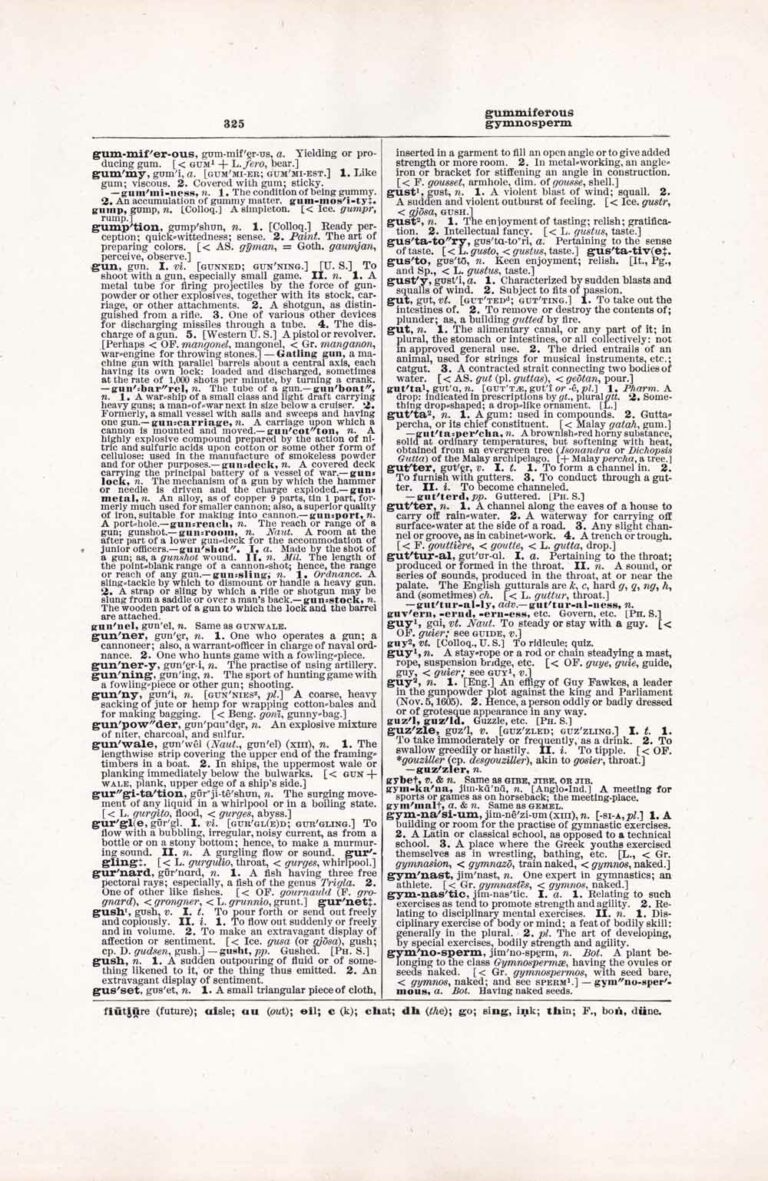 Vintage Dictionary Web 325