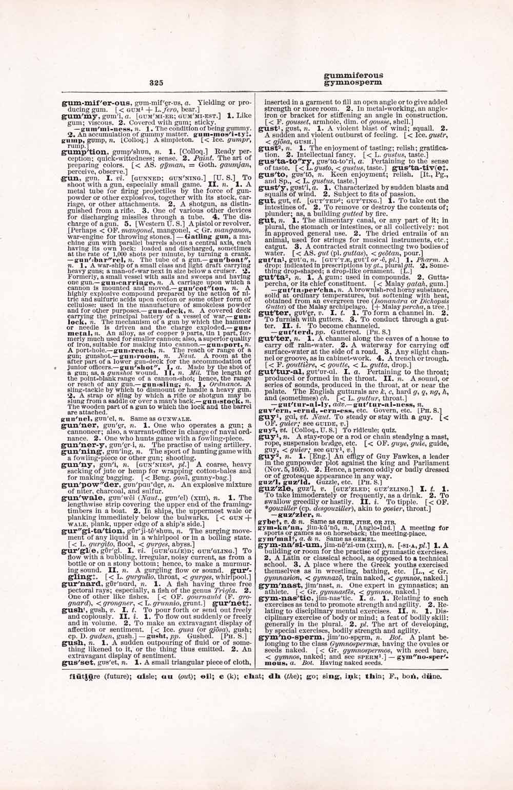 Vintage Dictionary Web 325