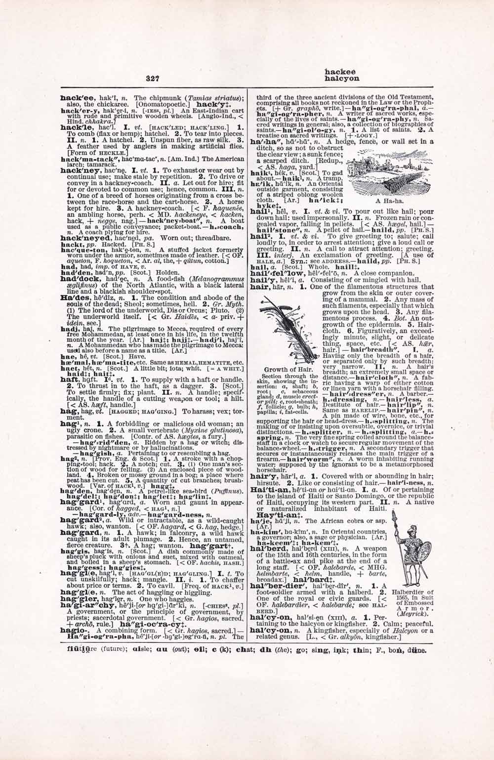 Vintage Dictionary Web 327