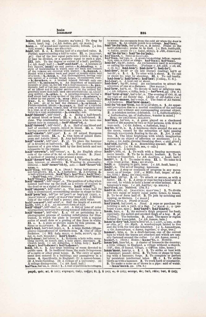 Vintage Dictionary Web 328