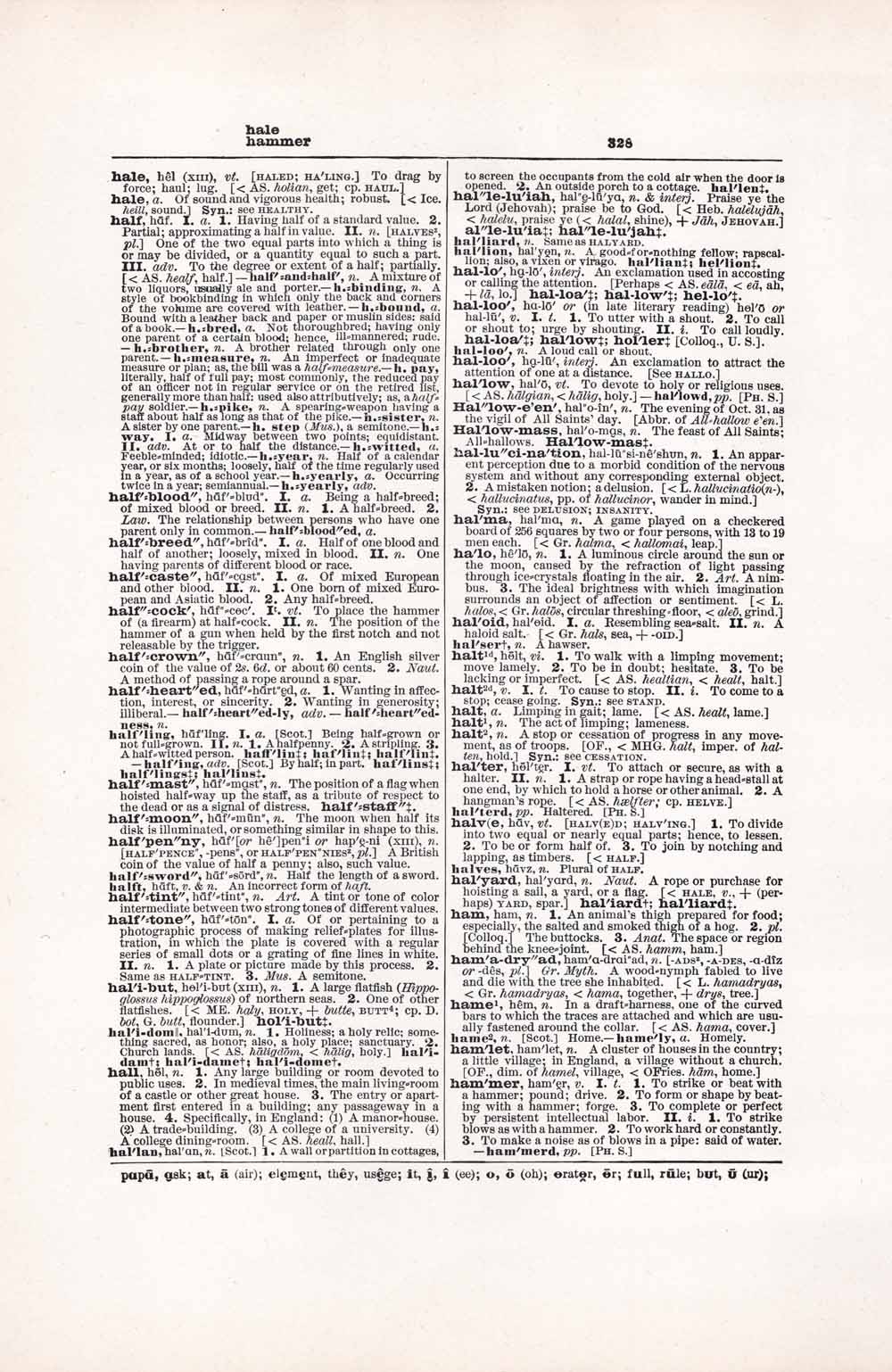 Vintage Dictionary Web 328