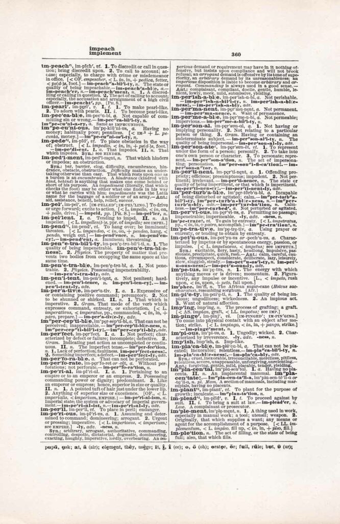 Vintage Dictionary Web 360