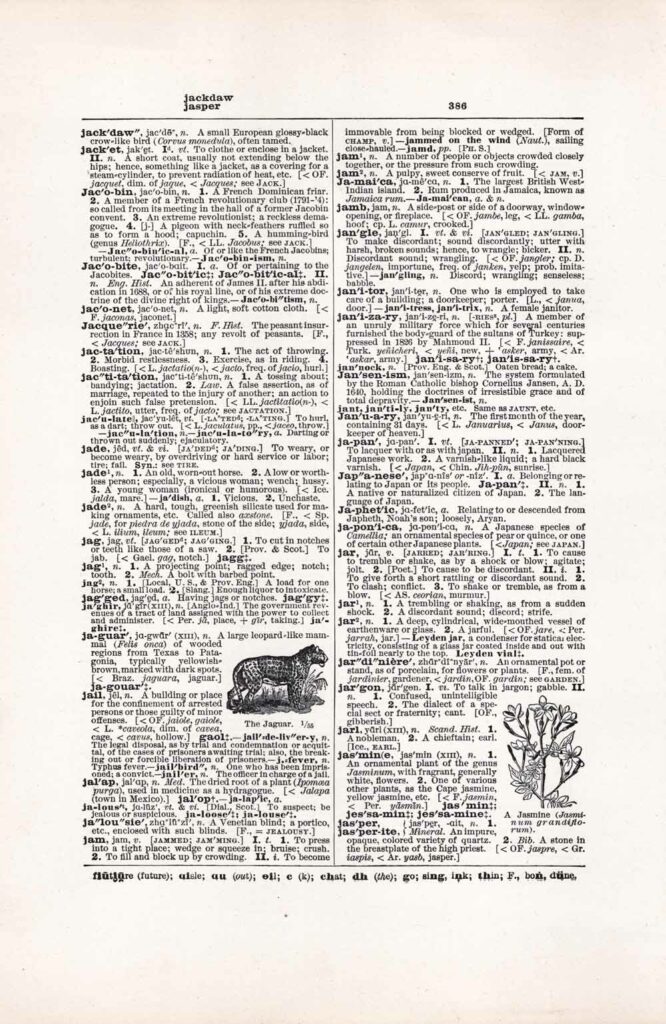 Vintage Dictionary Web 386
