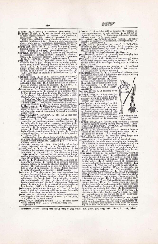 Vintage Dictionary Web 389