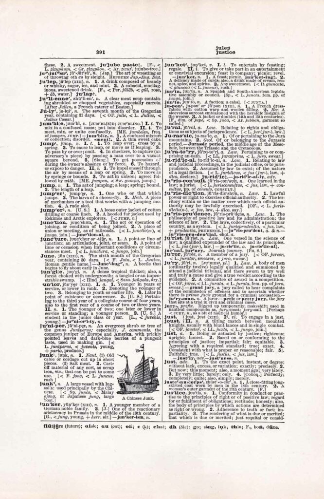Vintage Dictionary Web 391