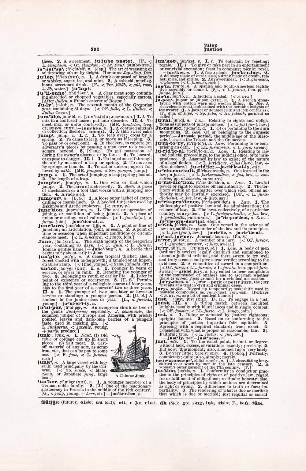 Vintage Dictionary Web 391