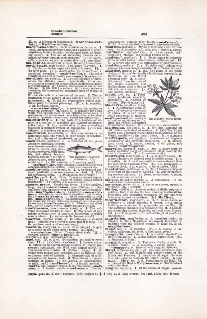Vintage Dictionary Web 424