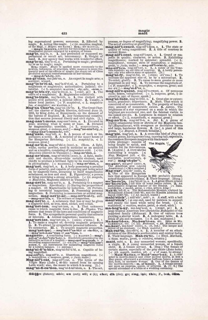 Vintage Dictionary Web 425