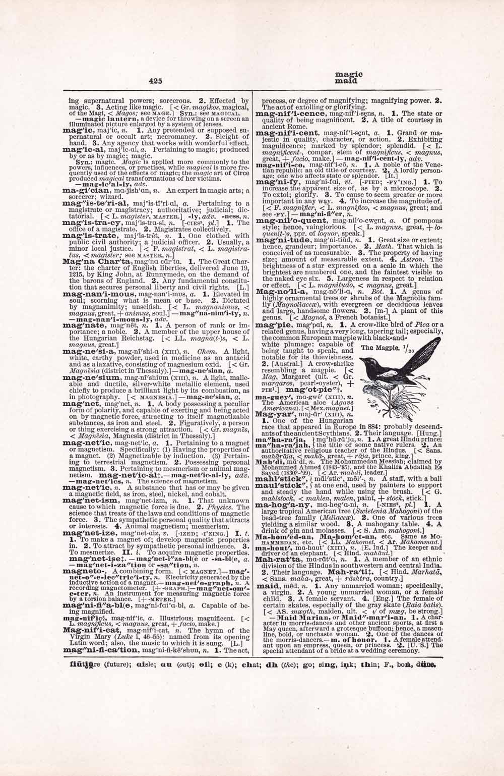 Vintage Dictionary Web 425