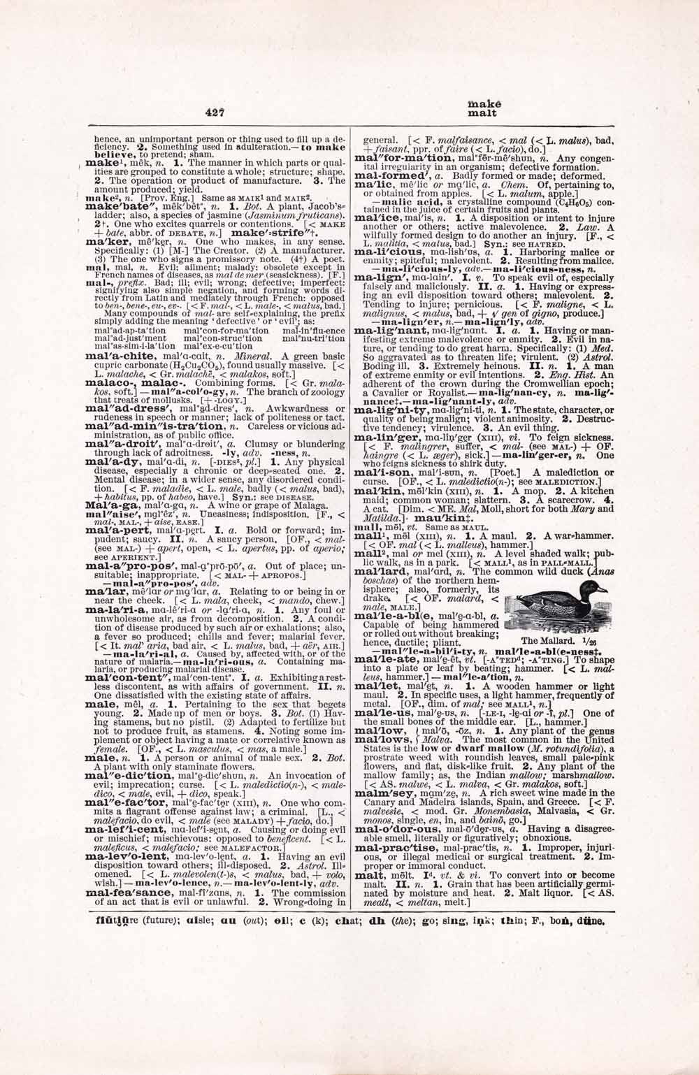 Vintage Dictionary Web 427