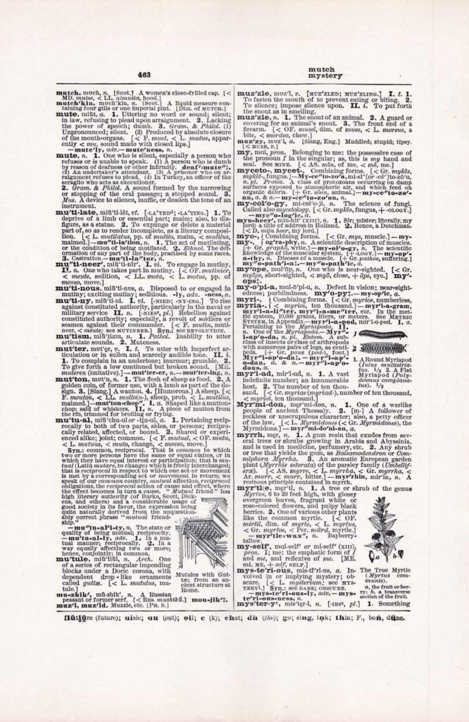 Vintage Dictionary Web 463