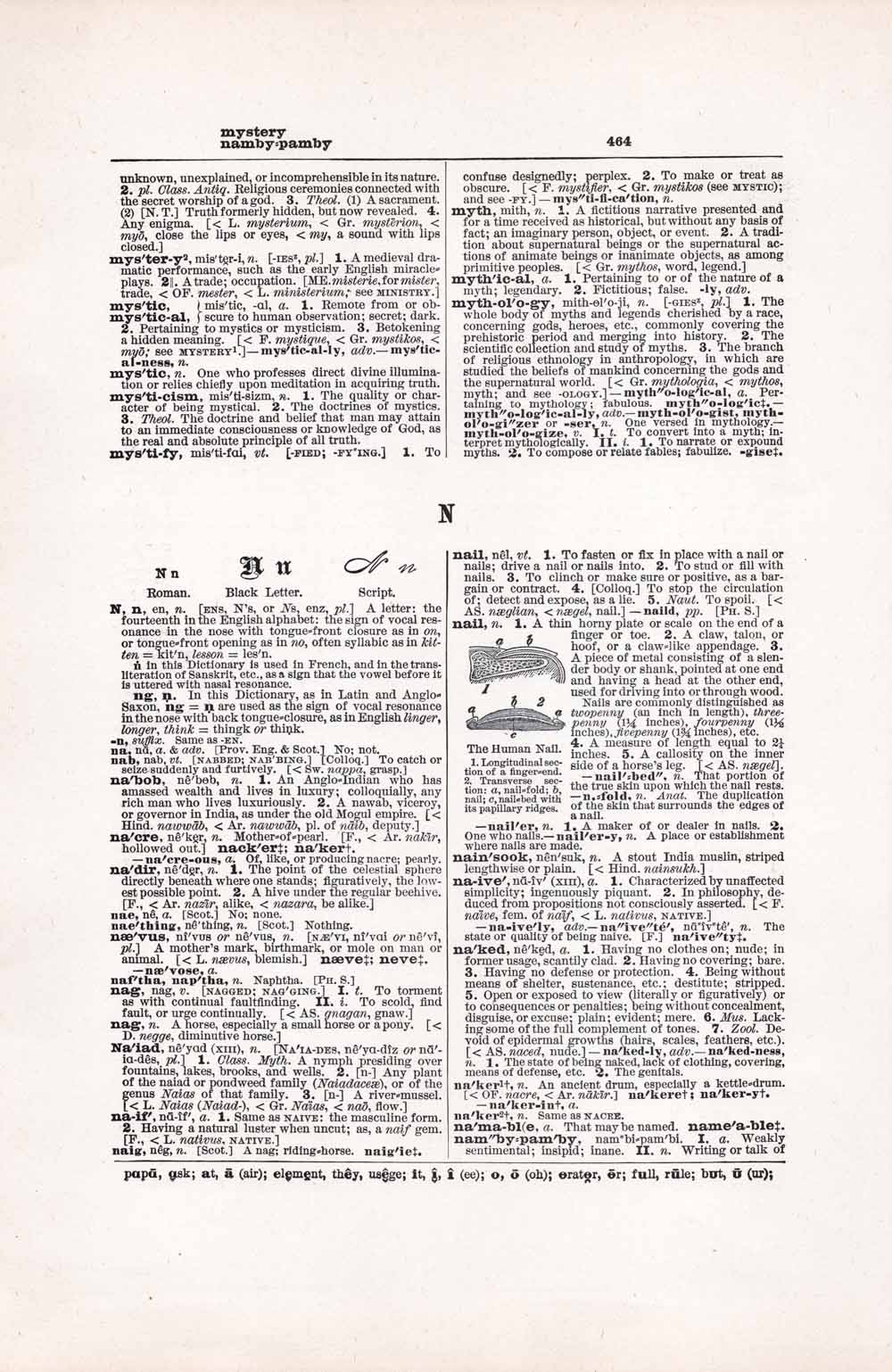 Vintage Dictionary Web 464