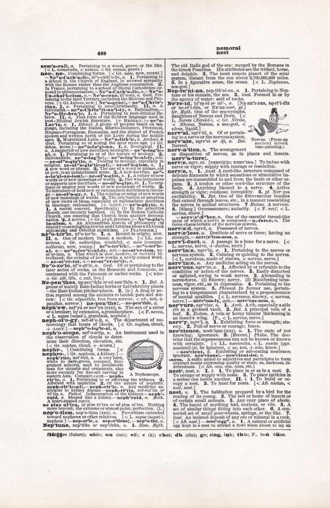 Vintage Dictionary Web 469