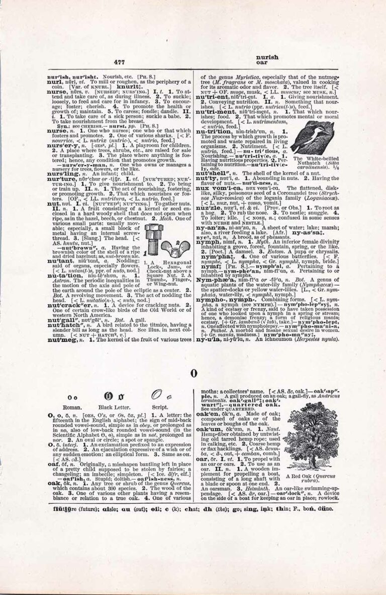 Vintage Dictionary Page Letter O, Page 477