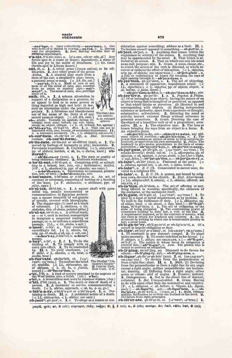 Vintage Dictionary Page Letter O, Page 478