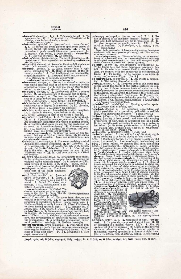 Vintage Dictionary Page Letter O, Page 480