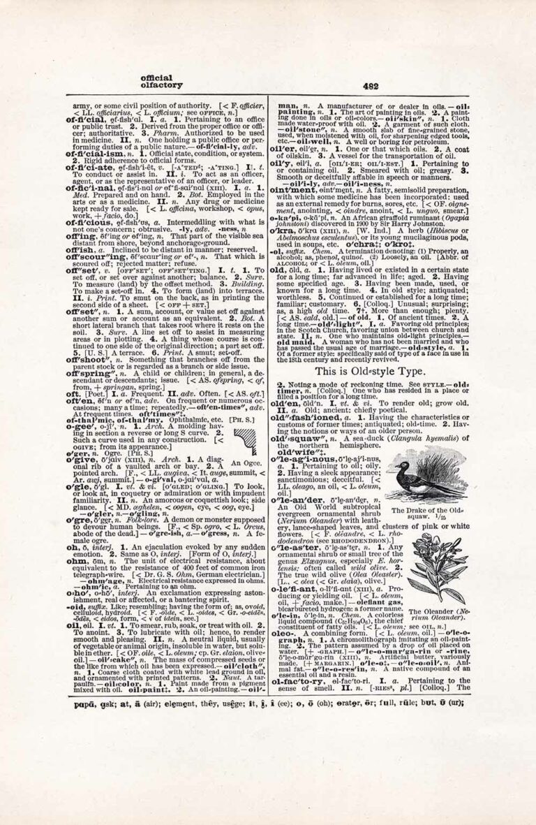 Vintage Dictionary Page Letter O, Page 482