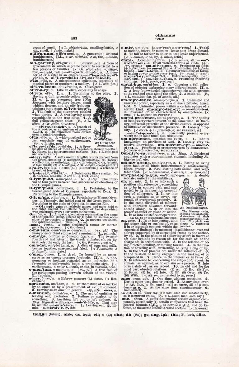 Vintage Dictionary Page Letter O, Page 483