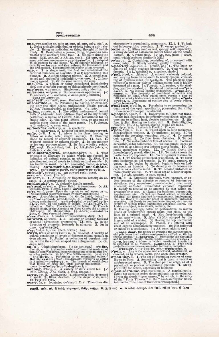 Vintage Dictionary Page Letter O, Page 484
