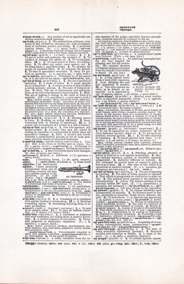 Vintage Dictionary Page Letter O, Page 485