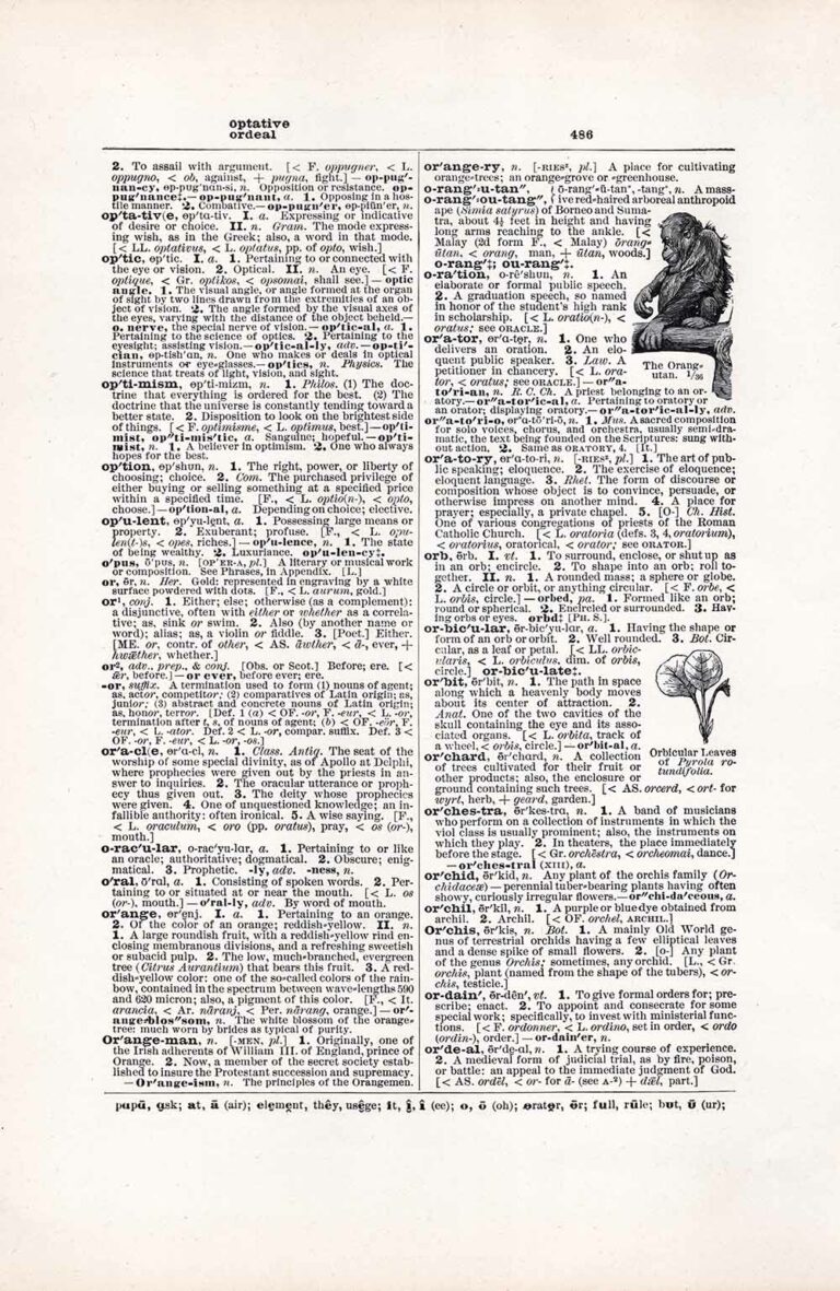 Vintage Dictionary Page Letter O, Page 486