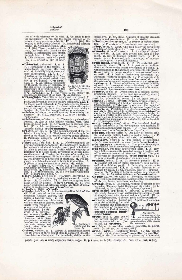 Vintage Dictionary Page Letter O, Page 488