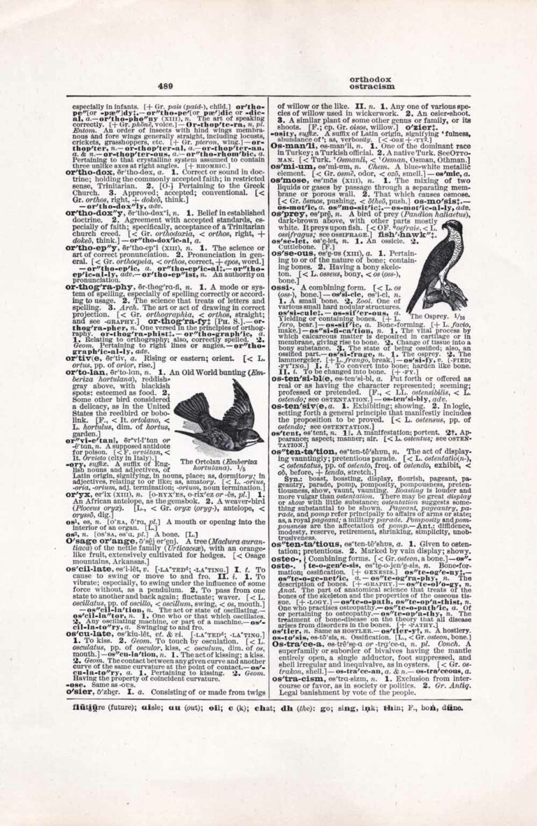 Vintage Dictionary Page Letter O, Page 489
