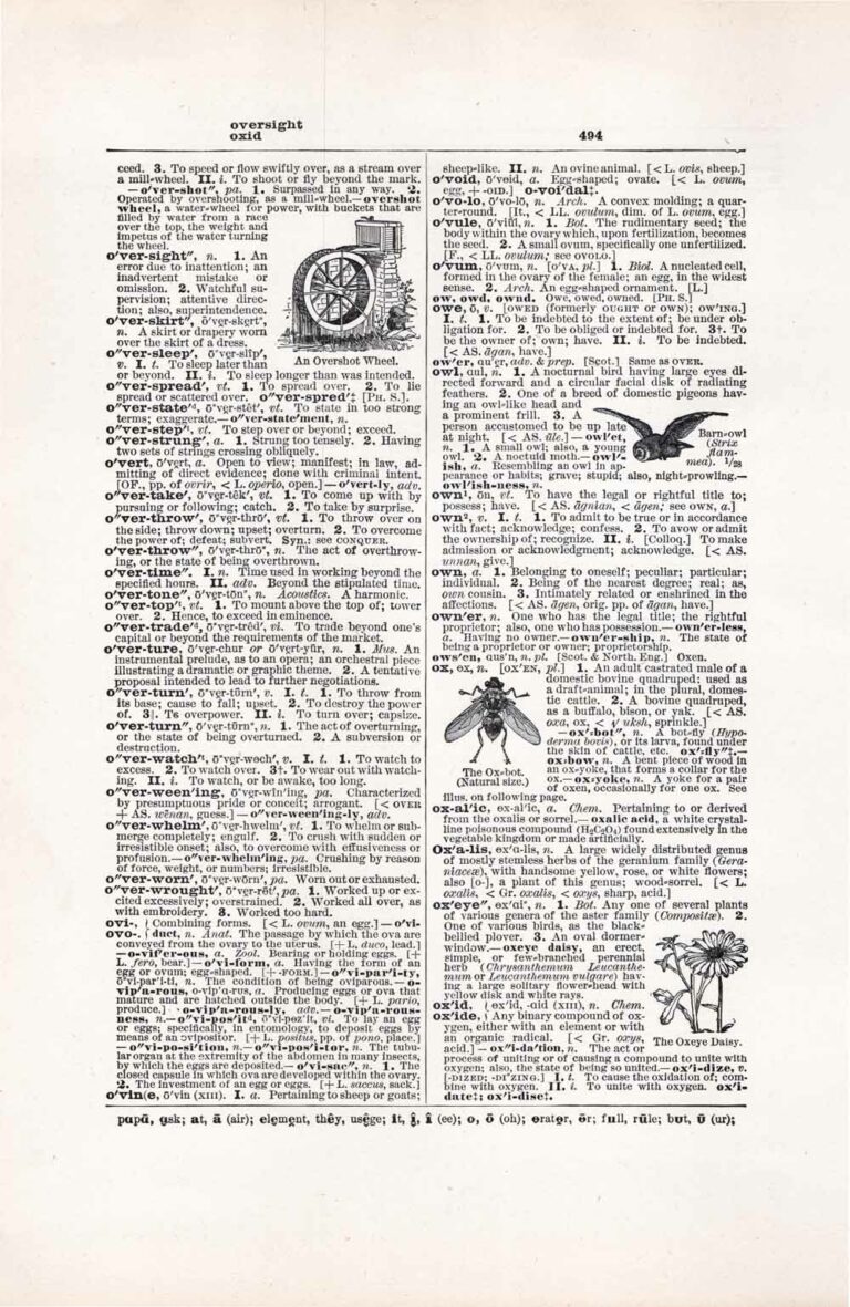 Vintage Dictionary Page Letter O, Page 494