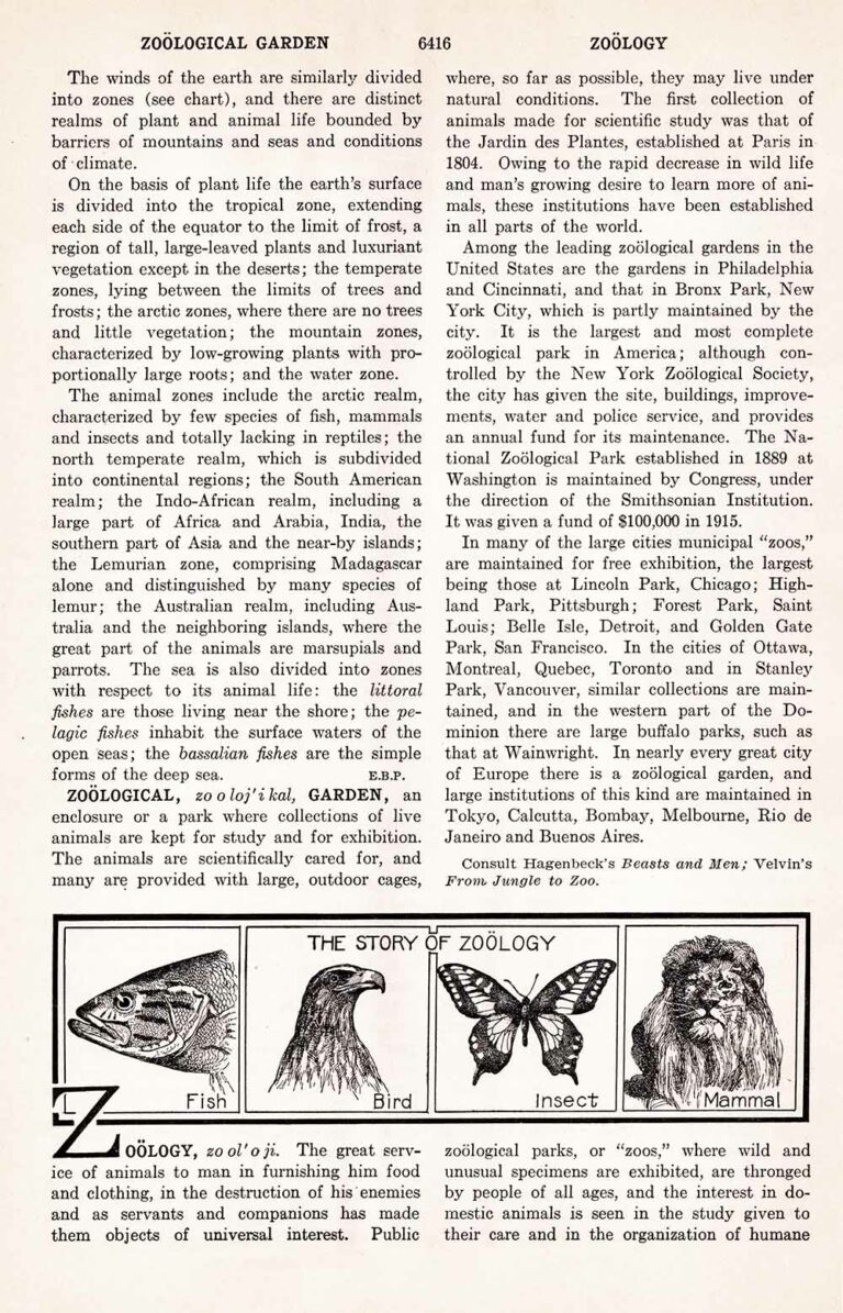 Zoology Wb6416 Web