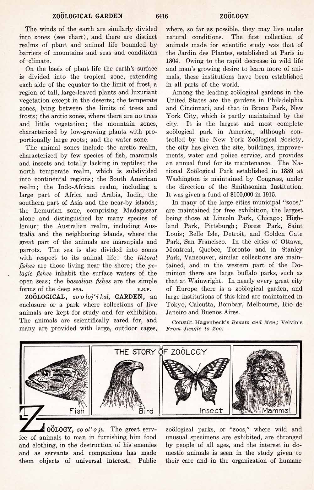Zoology Wb6416 Web